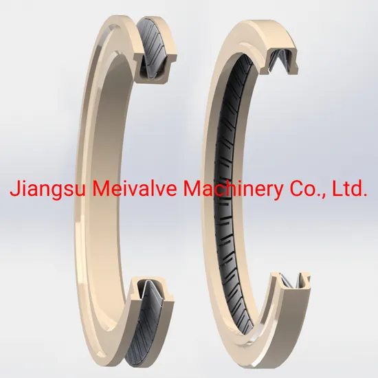 Fls Type 2-9/16" 15000psi Gate Valve Seat Seal Ring